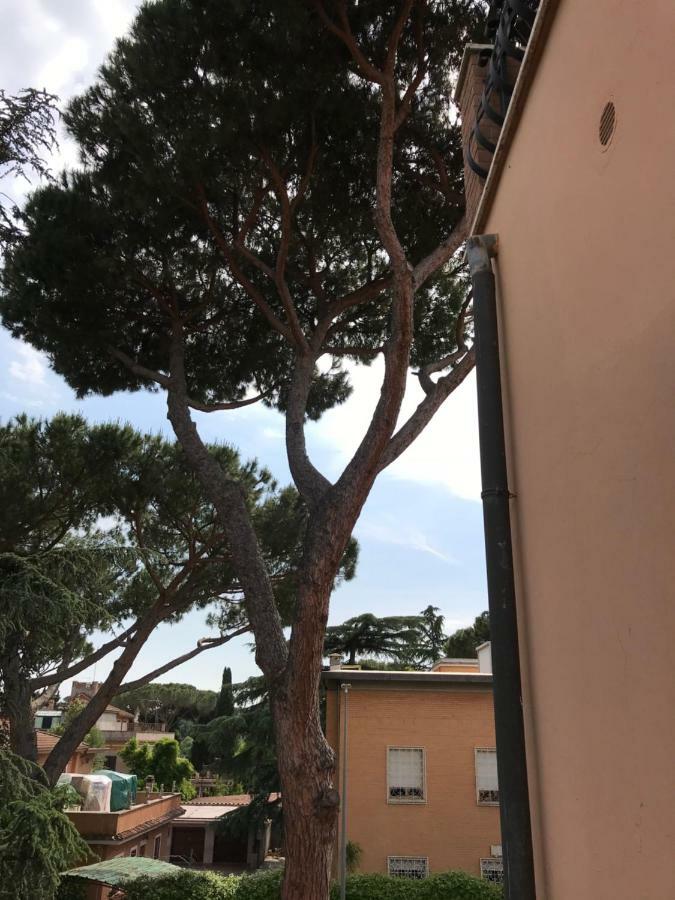Agli Acquedotti Romani Exterior photo